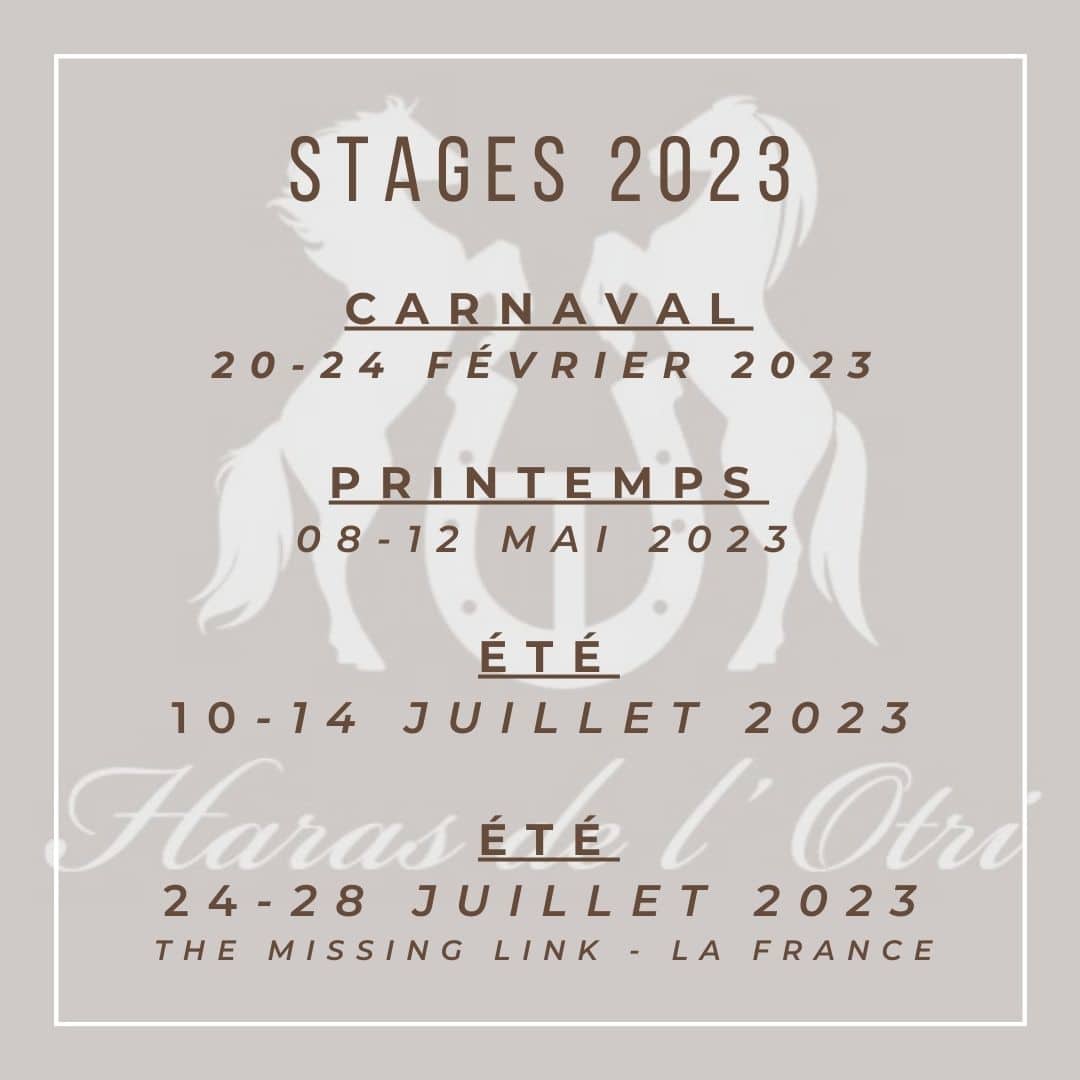 Stage 2023 haras de l'otri agimont 1